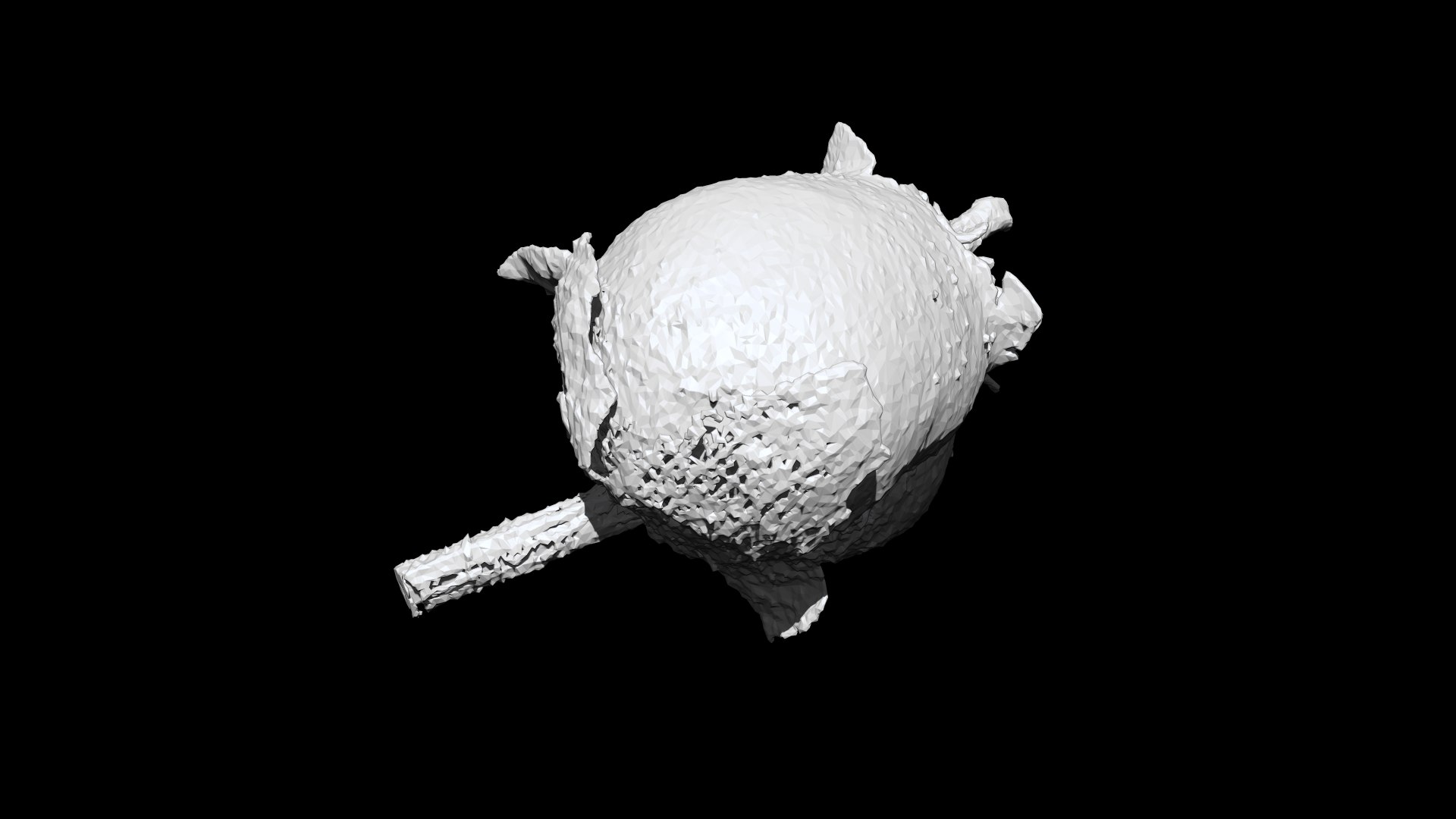 Antirrhinum majus 3D CT scan model decimate 10 percent 3D model https://p.turbosquid.com/ts-thumb/qQ/oheP92/DE/2/png/1664496233/1920x1080/fit_q87/0caea5d4f75fddba838db21dea48e71aae72cce6/2.jpg