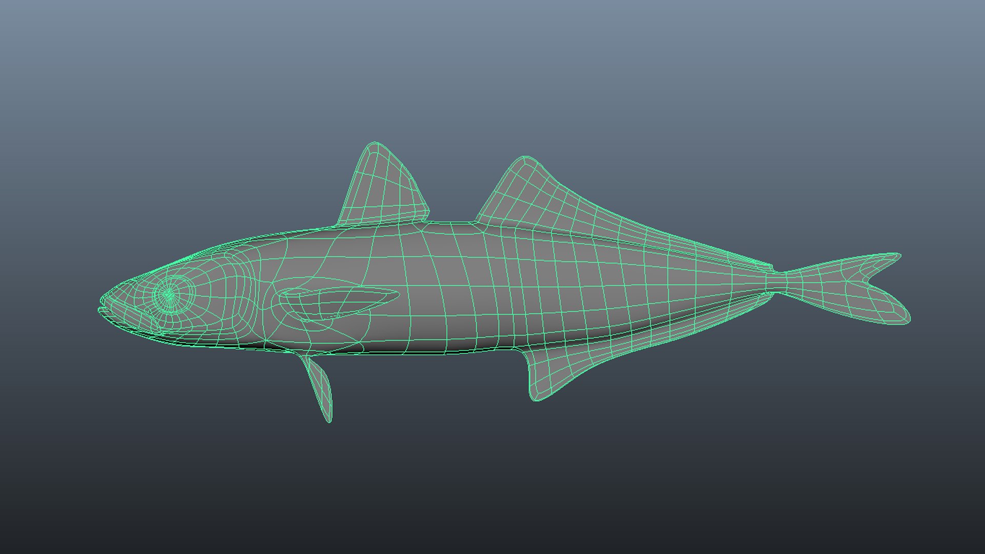 3D Mackerel Collection model https://p.turbosquid.com/ts-thumb/qQ/yn4IY7/Te/wireframe1/jpg/1637267687/1920x1080/fit_q87/bd459b1c25a679ddeb23071563424279d851ac9c/wireframe1.jpg