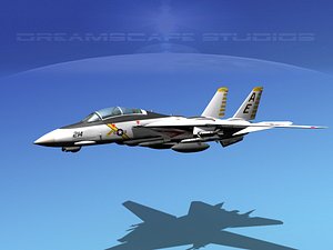 Grumman F-14D Tomcat VF142
