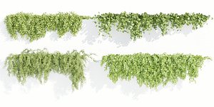 Hanging wall plants collection vol 90-Blender model