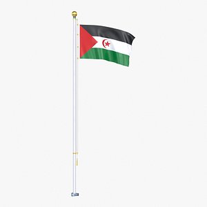 Sahrawi Arab Democratic Republic Flag Stand Pole Animated Loop
