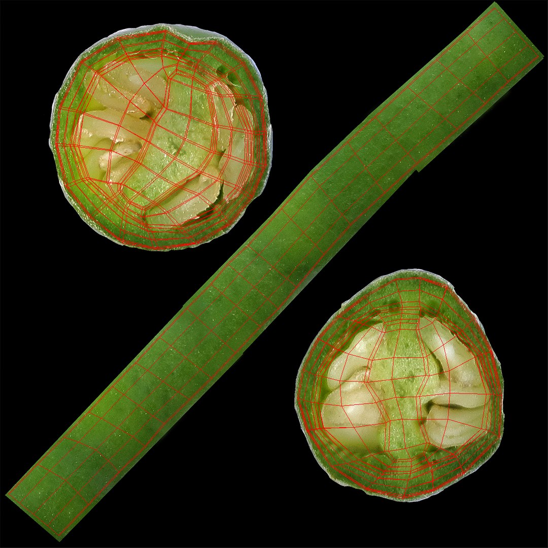 3D model green food https://p.turbosquid.com/ts-thumb/qR/IZGC2a/bU/greenchillislice_diffuseuv/jpg/1604602133/1920x1080/fit_q87/573cf32d006b210f293c238ba79b21a728068c17/greenchillislice_diffuseuv.jpg