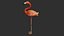 bird flamingo kiwi model