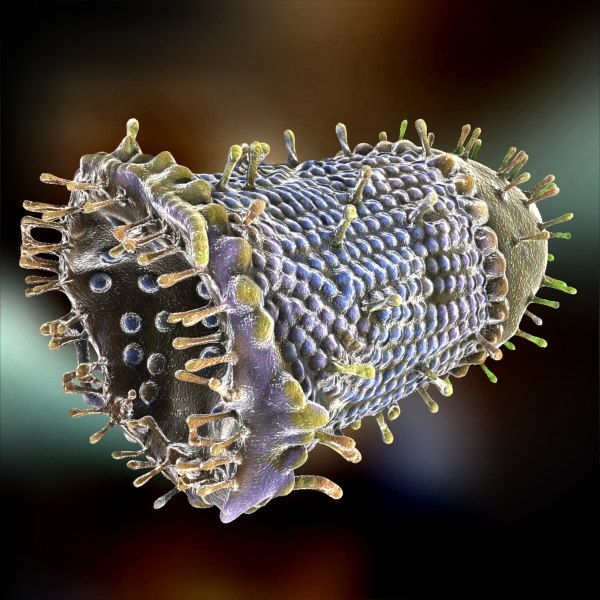 modelo 3d Virus de la rabia - TurboSquid 708417