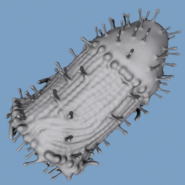 modelo 3d Virus de la rabia - TurboSquid 708417