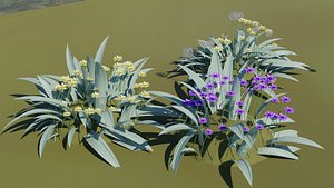 Procedural flowers 3D model