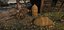 Medieval furniture