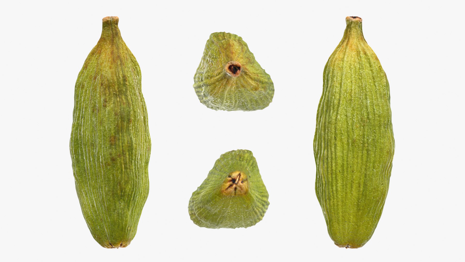 Cardamom Pile 3D model https://p.turbosquid.com/ts-thumb/qR/YJHLCd/G8/bowlcardamom_d0016/png/1774026967/1920x1080/fit_q87/5841e7e60846a2a61448de1d18e0ed1b70096e38/bowlcardamom_d0016.jpg