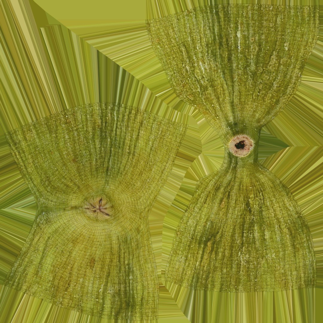 Cardamom Pile 3D model https://p.turbosquid.com/ts-thumb/qR/YJHLCd/u3/bowlcardamom_e0004/png/1774026967/1920x1080/fit_q87/fa54d5162cf1205525f4e01bf4cbb06d4b972d8d/bowlcardamom_e0004.jpg