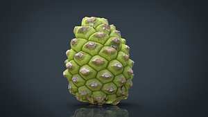 Pinecone 2
