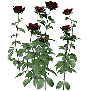 Red Rose Patch - 02 - 3D model