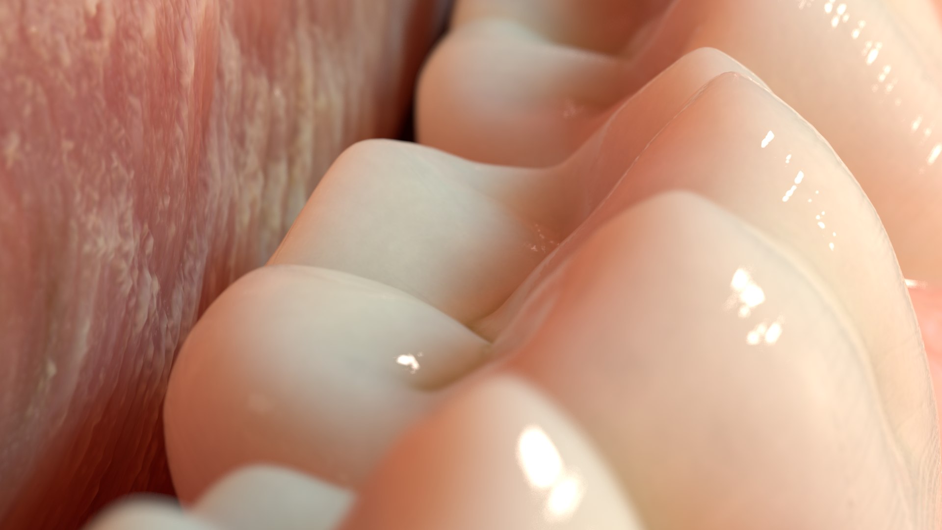 3D dentures medicine anatomy redshift https://p.turbosquid.com/ts-thumb/qS/D8LzaN/6w7dSt18/closeup_05/png/1589491439/1920x1080/fit_q87/b4189e251e2a061846c6c2d6b2ec256b2723000c/closeup_05.jpg