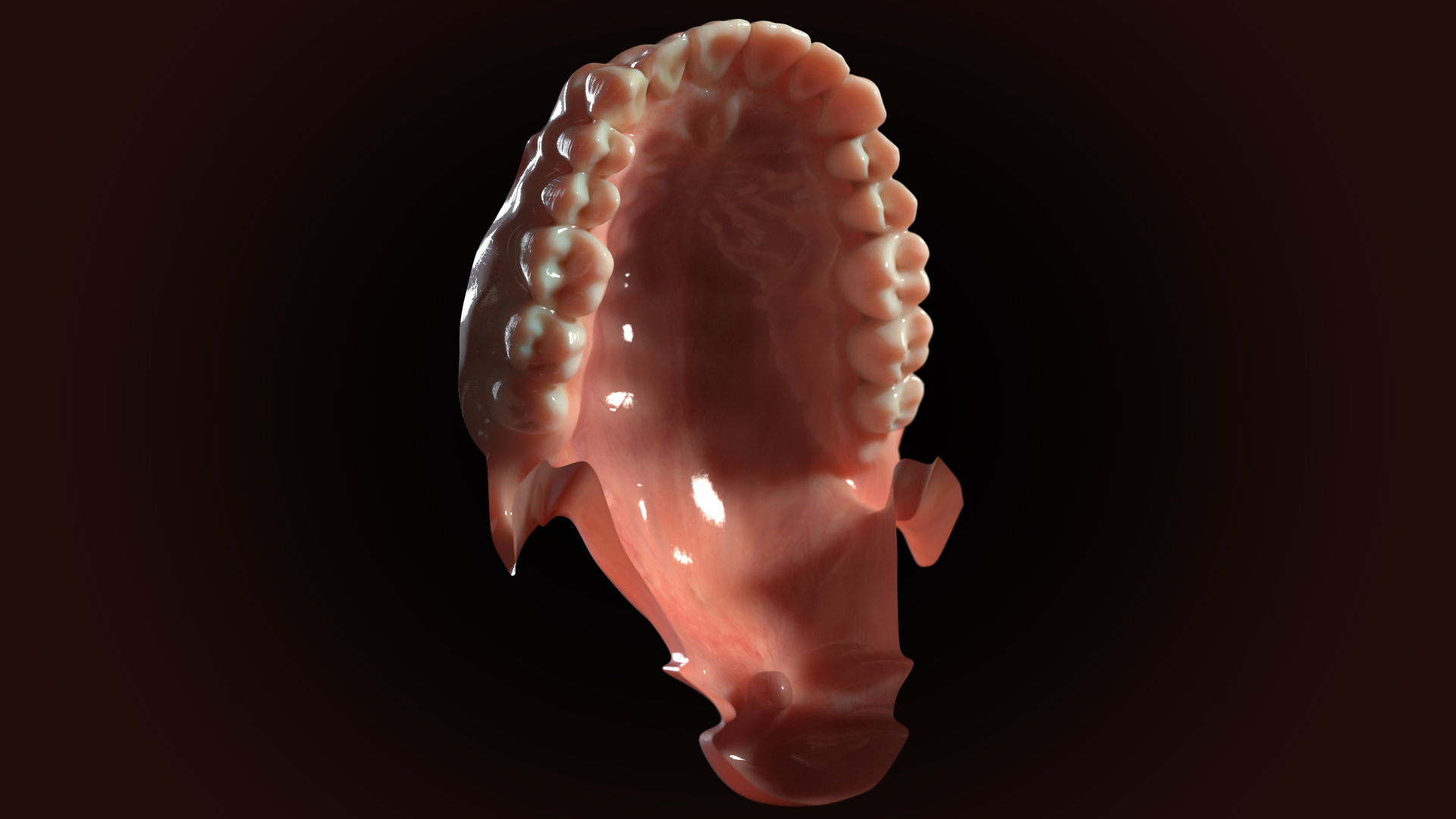 3D dentures medicine anatomy redshift https://p.turbosquid.com/ts-thumb/qS/D8LzaN/9ya33aO7/upper/jpg/1589490142/1920x1080/turn_fit_q99/552a8407d69f51557408a4212b35a96292744de8/upper-1.jpg