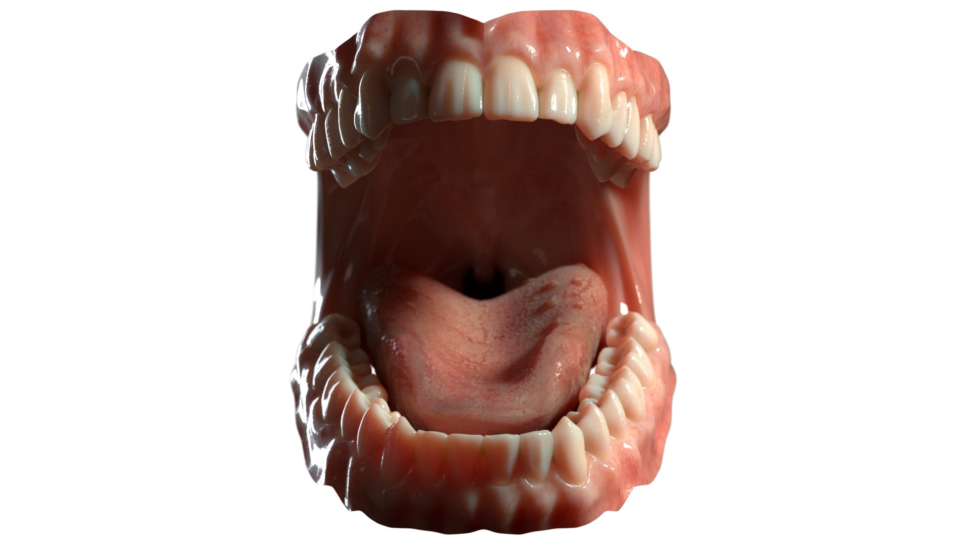 3D dentures medicine anatomy redshift https://p.turbosquid.com/ts-thumb/qS/D8LzaN/Sx6LOijD/02_/png/1589492735/1920x1080/fit_q87/17071d820815a7c727328ce5c21ac9e9d566ed4c/02_.jpg