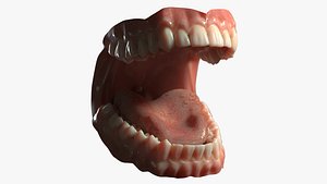 3D dentures medicine anatomy redshift