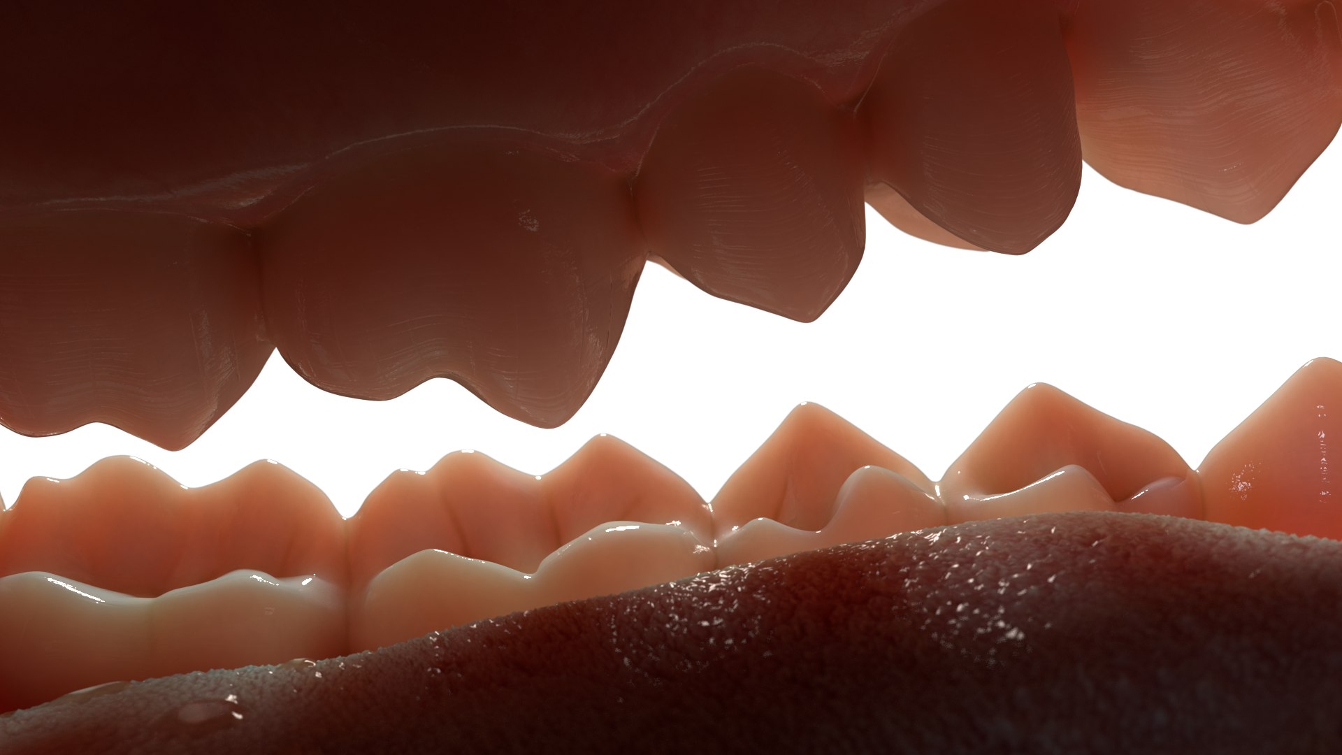 3D dentures medicine anatomy redshift https://p.turbosquid.com/ts-thumb/qS/D8LzaN/oQDb45Wm/closeup_03/png/1589491439/1920x1080/fit_q87/9c4acad37e7eeb6065098190a6935fc5d7394078/closeup_03.jpg