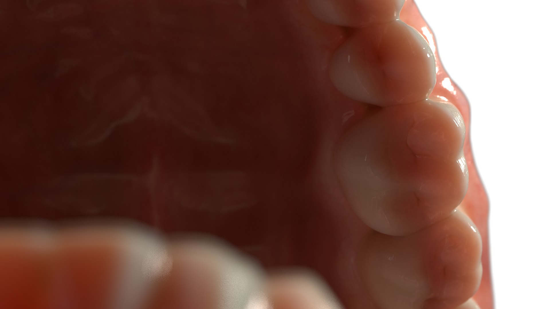 3D dentures medicine anatomy redshift https://p.turbosquid.com/ts-thumb/qS/D8LzaN/tArtEcWK/closeup_02/png/1589491439/1920x1080/fit_q87/861191ad99445b0c09e17666948e7f35069aa975/closeup_02.jpg