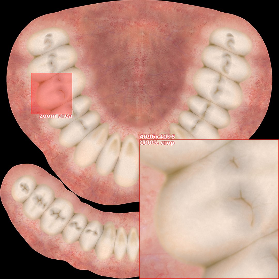 3D dentures medicine anatomy redshift https://p.turbosquid.com/ts-thumb/qS/D8LzaN/x4/dentures_100crop/jpg/1666807385/1920x1080/fit_q87/7874e863c00ca13d1a5087aee8b1bdd8b38c9783/dentures_100crop.jpg