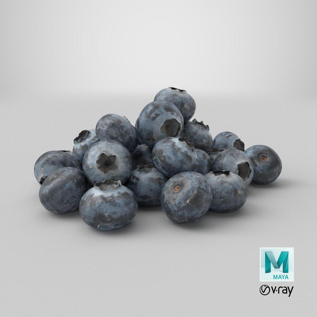 3D Blueberries https://p.turbosquid.com/ts-thumb/qS/KMCi9Y/7X/stemcell_maya_vray_render/png/1773248152/1920x1080/fit_q87/f80f01318ea7b1a0c6468f9622fdcf3c5caf109f/stemcell_maya_vray_render.jpg