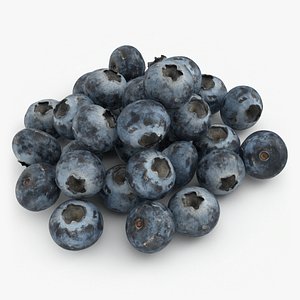3D Blueberries