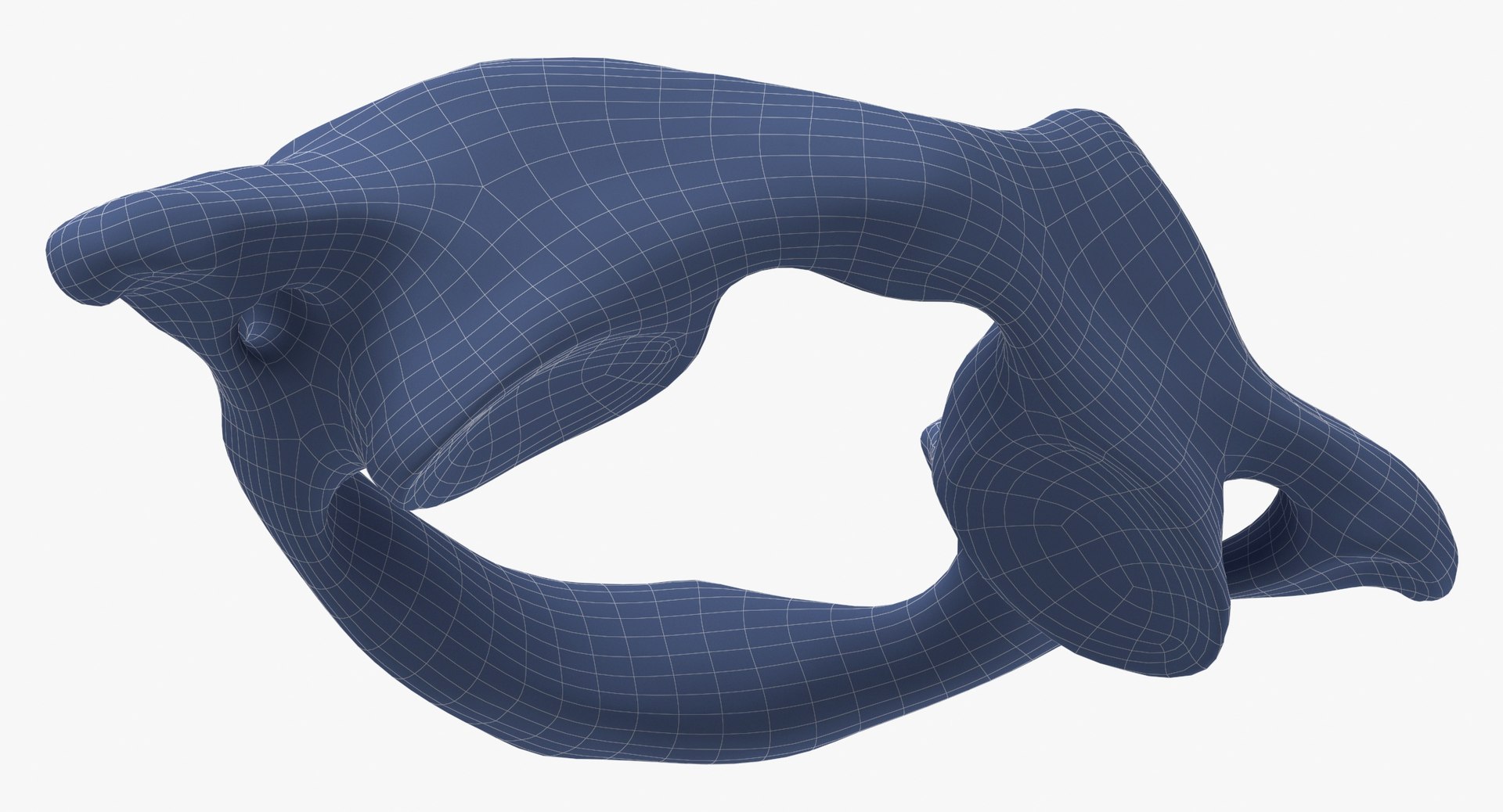 cervical vertebrae c1 atlas 3D model https://p.turbosquid.com/ts-thumb/qS/ORDQSM/WwUiqRrZ/cervical_vertebrae_c1_atlas_white_wireframe_0007/jpg/1596458738/1920x1080/fit_q87/e9691f31ea4c16576478eb85870c4a07be2f30df/cervical_vertebrae_c1_atlas_white_wireframe_0007.jpg