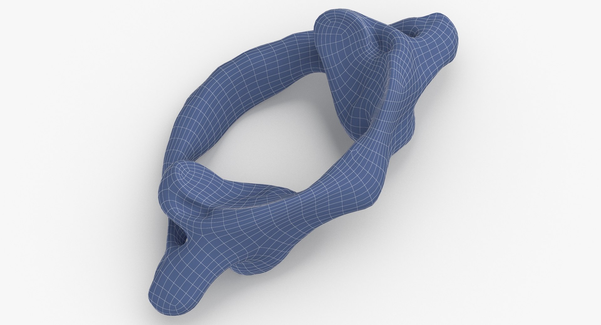 cervical vertebrae c1 atlas 3D model https://p.turbosquid.com/ts-thumb/qS/ORDQSM/ujp6aU51/cervical_vertebrae_c1_atlas_white_wireframe_0002/jpg/1596458737/1920x1080/fit_q87/07b9150f7c18ffb3ca9398e2206985571d80ca26/cervical_vertebrae_c1_atlas_white_wireframe_0002.jpg