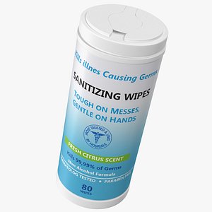 Sanitizing Wipes 80 Count Small Canister
