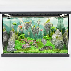 3D fishes aquarium