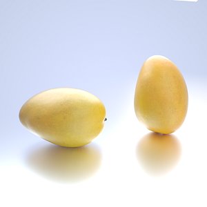 photorealistic mangoes model