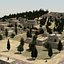 Afghan Farmland St02