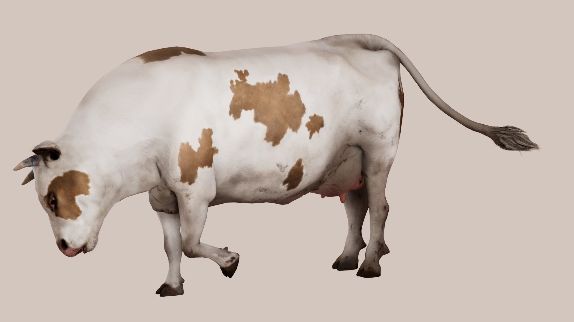 Cow Rigged 3D model https://p.turbosquid.com/ts-thumb/qS/iRzP4h/9i/6/jpg/1687156871/1920x1080/fit_q87/0456f984fae863cc959a7967049c286f9dadf994/6.jpg