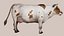 Cow Rigged