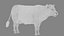 Cow Rigged