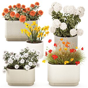 Collection flowers Hydrangea Peony Iris Poppy pots vase 3D model