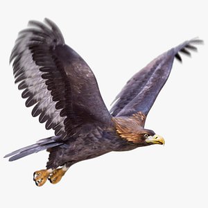 3D Golden Eagle Animated 2026 model