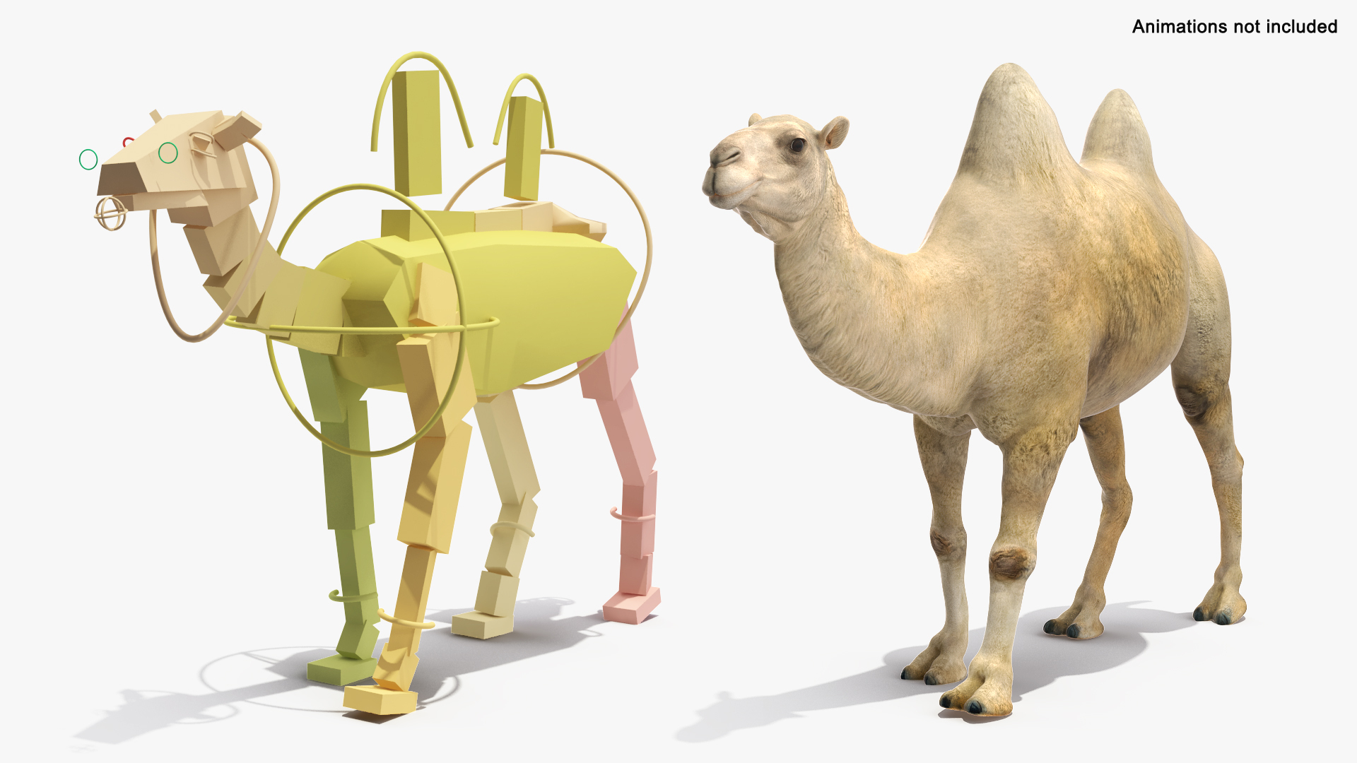 3D Bactrian Camel Light Colored Rigged https://p.turbosquid.com/ts-thumb/qT/JkD8xt/BG/bactrian_camel_light_colored_rigged_362/jpg/1724676762/1920x1080/turn_fit_q99/0688e50c1c856a33c3f621467ed14ff706ecffbb/bactrian_camel_light_colored_rigged_362-1.jpg