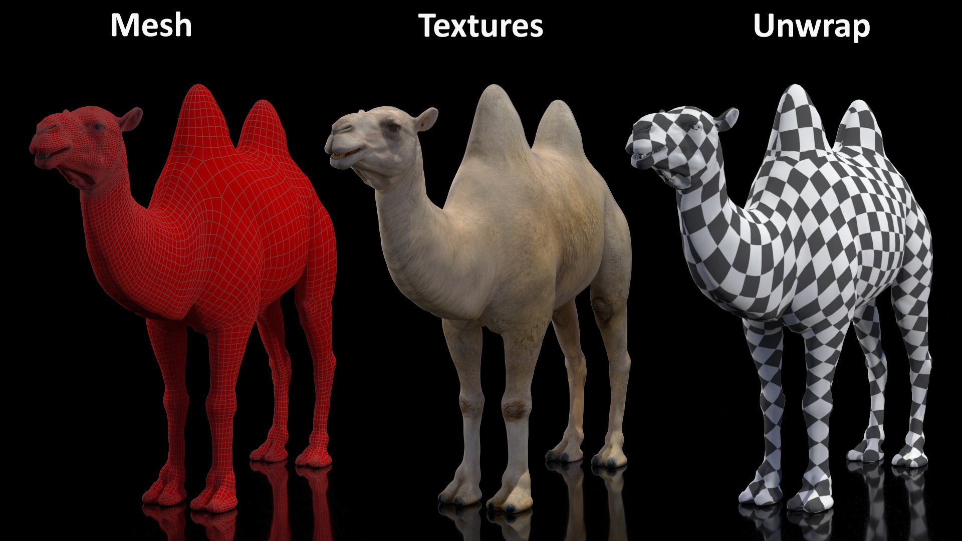 3D Bactrian Camel Light Colored Rigged https://p.turbosquid.com/ts-thumb/qT/JkD8xt/d1/bactriancamellightcoloredriggedc4dmodel031/jpg/1724677143/1920x1080/fit_q87/dccb3517a21d3ee154967ad5cce9a936c8aaf37b/bactriancamellightcoloredriggedc4dmodel031.jpg