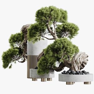 3D model AV HousePlants set 169 Mission Kalamata Leccino Arbequina Wilsonii Chemlali