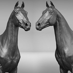 horse ztl zbrush 3D model