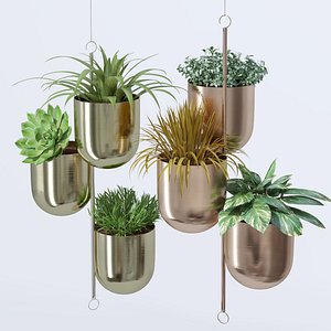 3D corona metal hanging plant