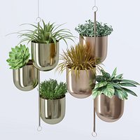 House plant indoor plant hanging metal pots