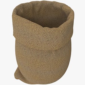 Sack v13