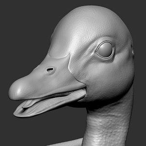 3D model Baby Duck Duckling  Zbrush
