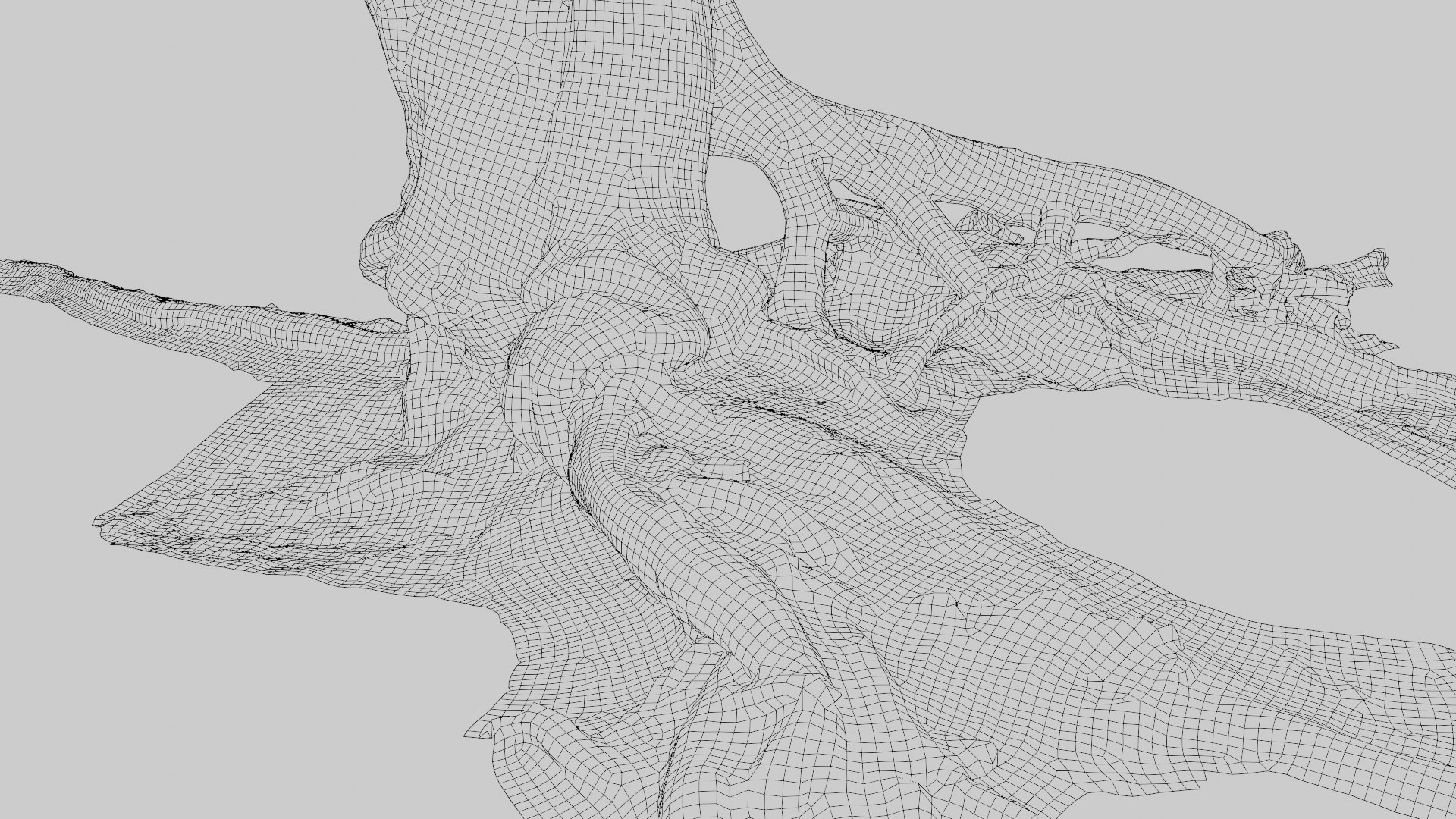 Namibian Dry Tree 01 - Scan 3D - TurboSquid 2036935