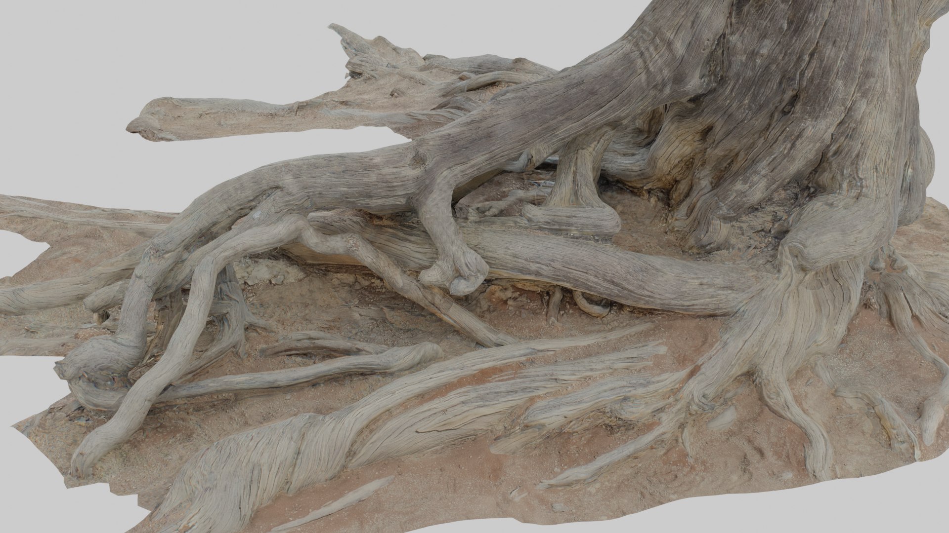 Namibian Dry Tree 01 - Scan 3D - TurboSquid 2036935