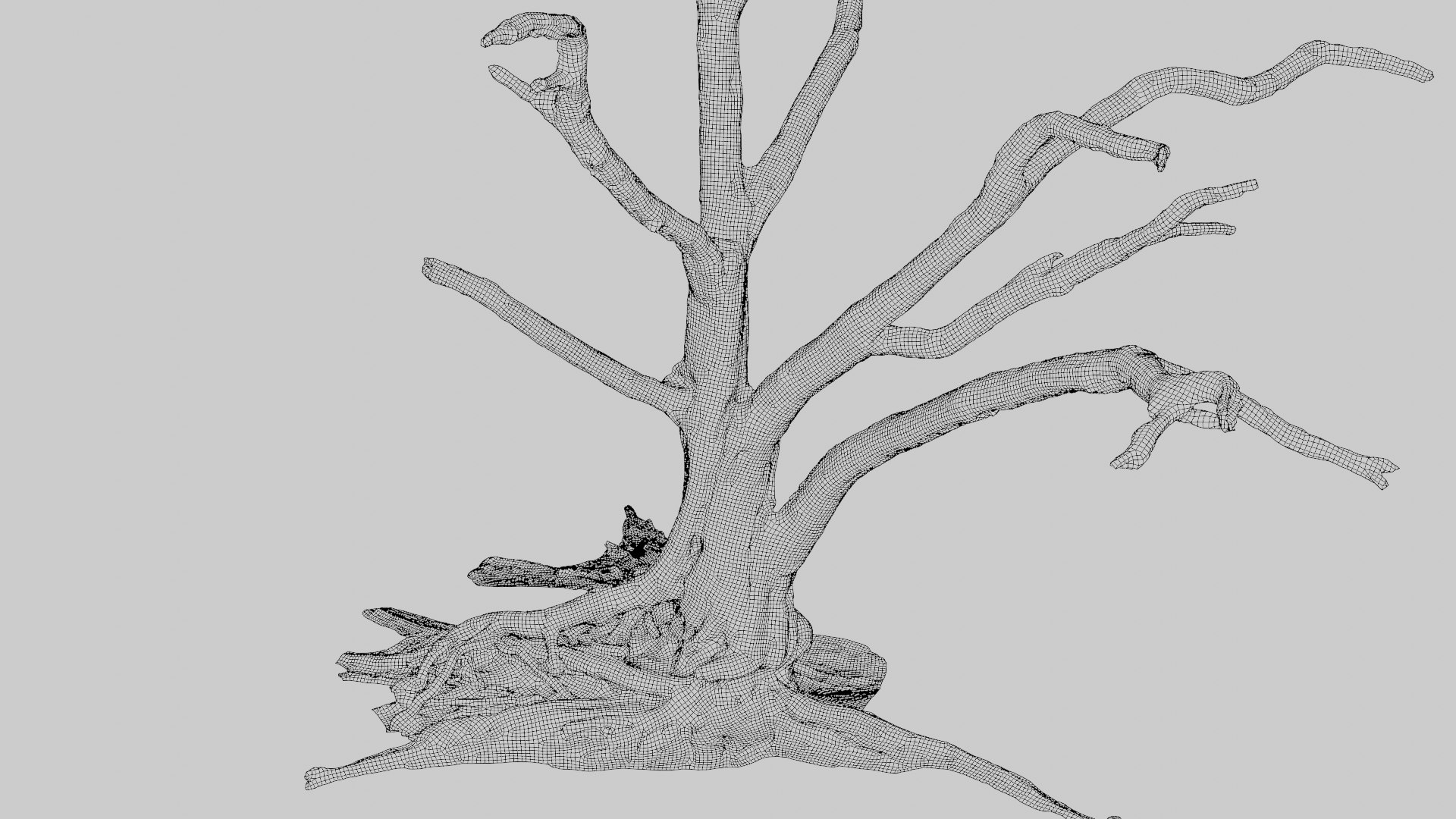 Namibian Dry Tree 01 - Scan 3D - TurboSquid 2036935