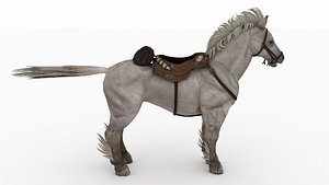 Saddled Horse 3D