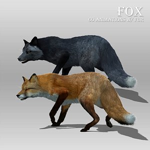 red black fox fur 3D