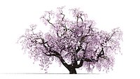 3D Japanese Ornamental Trees Pack