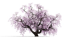 3D Japanese Ornamental Trees Pack